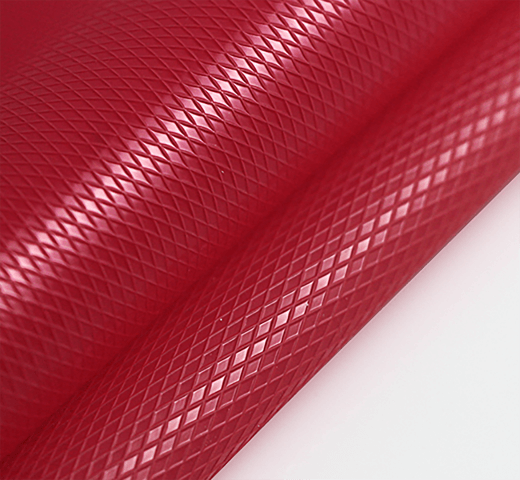 網格膜、網紋膜01